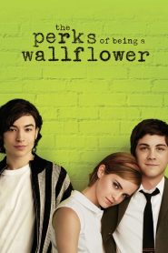 The Perks of Being a Wallflower.2012
