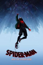 Spider Man Into The Spider Verse 2019
