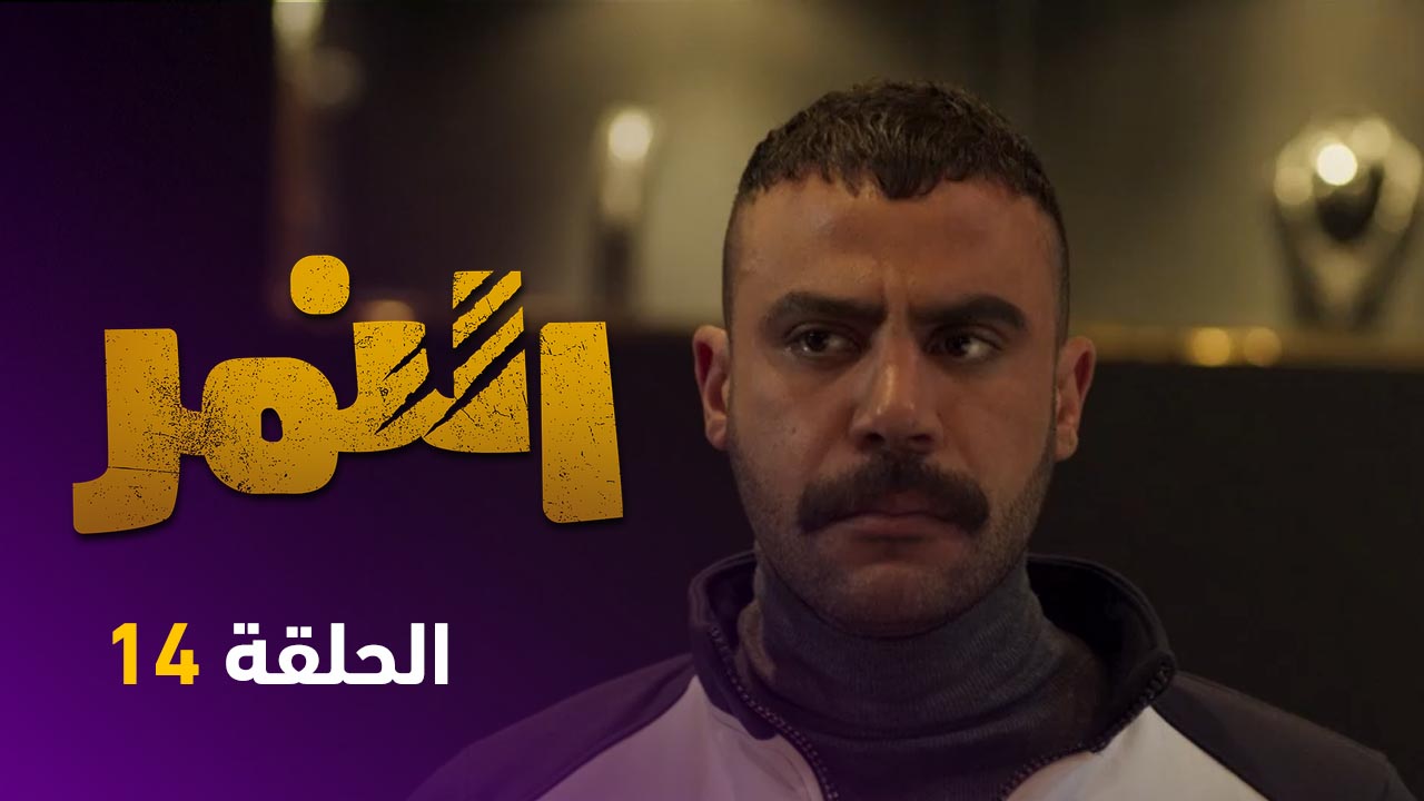 مسلسل النمر الحلقة ١٤